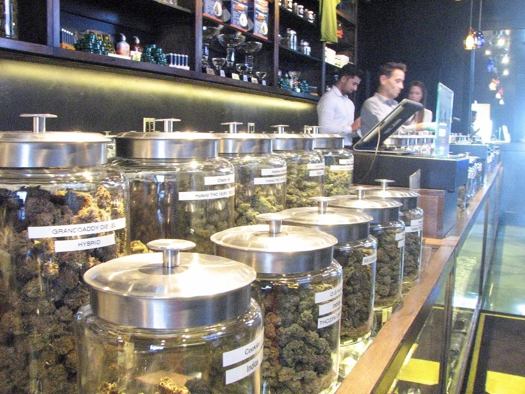 Green and Gold Legacy of the Gary Payton Strain